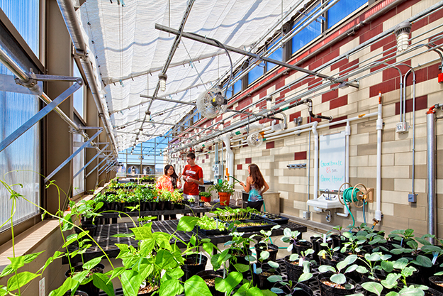 Leopold Hall Greenhouse