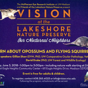 Vision of the Lakeshore Poster