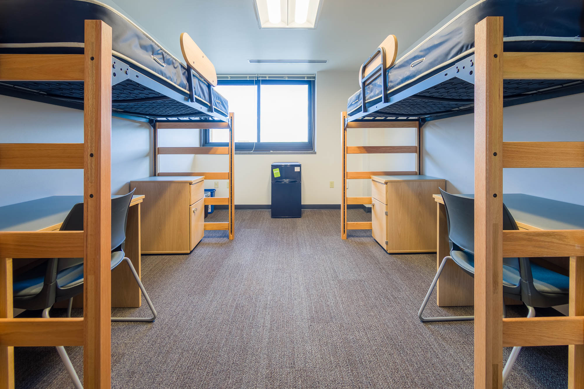 An interior view of a 2-Window Double room on the 11th floor of Witte Residence Hall