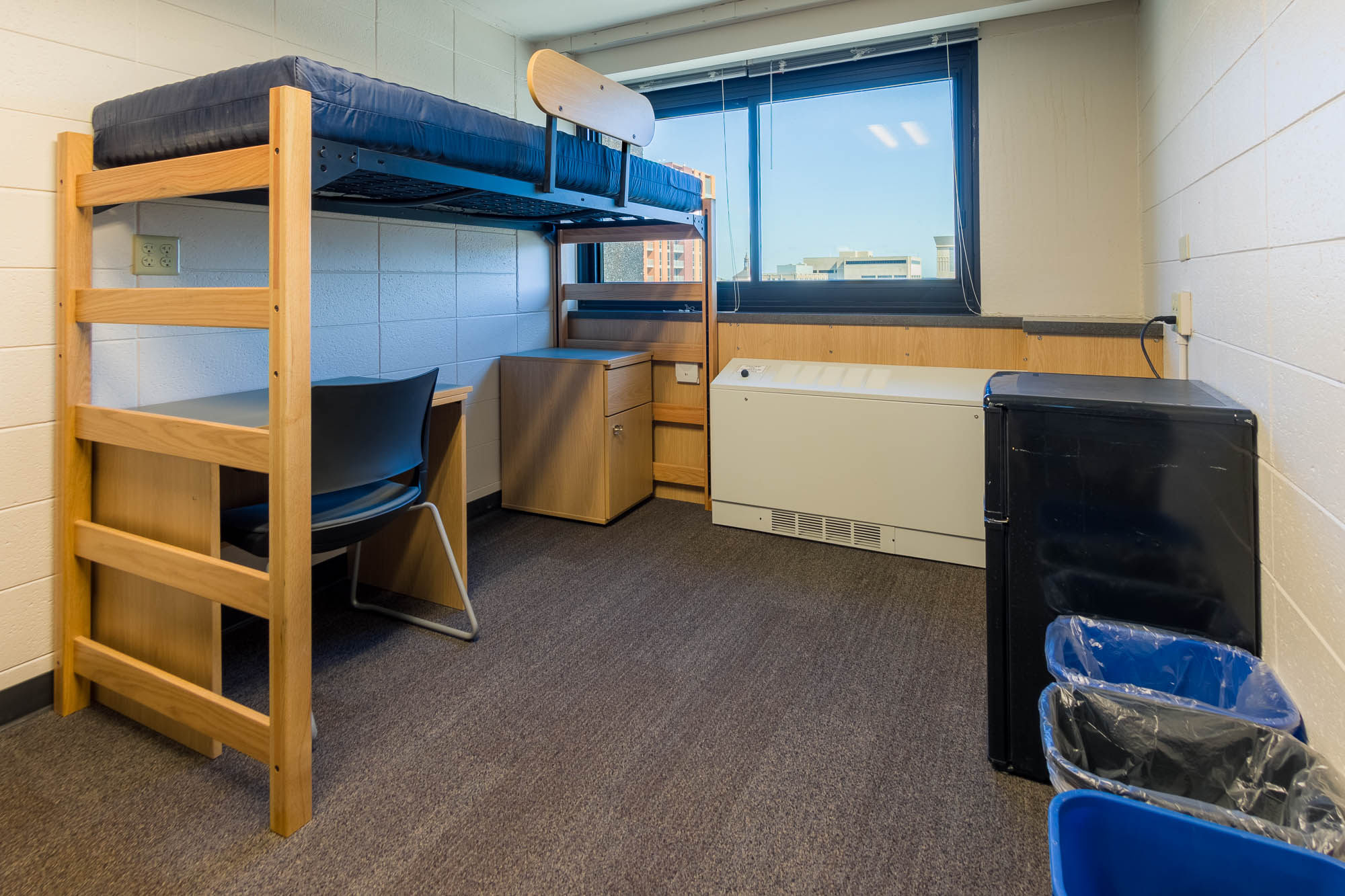 An interior view of a 2-Window Double room in Witte Residence Hall