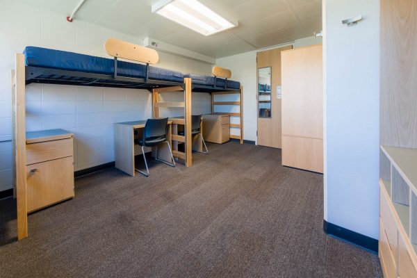 An interior view of a 3-Window Double room in Witte Residence Hall