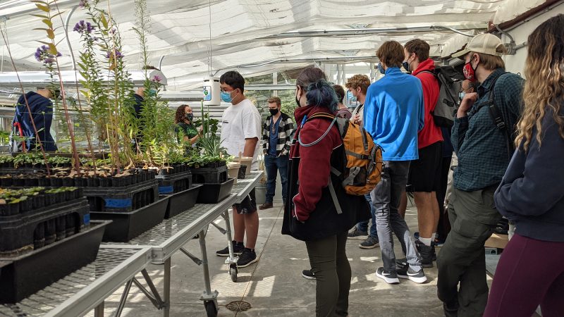 Residents of the GreenHouse Learning Community in a greenhouse