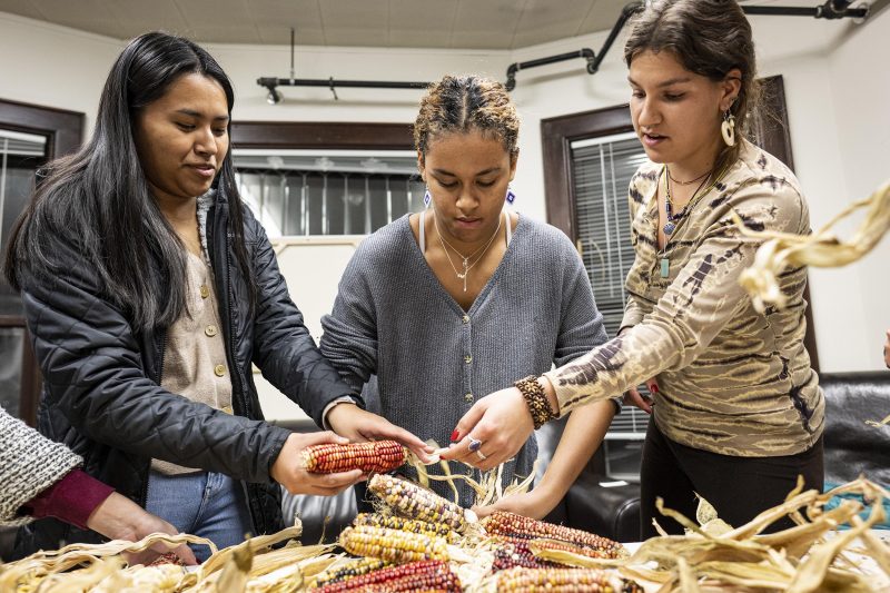 Students practice husking and braiding Oneida white corn during a corn braiding demonstration event presented by Wunk Sheek, a UW-Madison Native American student organization, and held at the Indigenous Student Center (ISC)