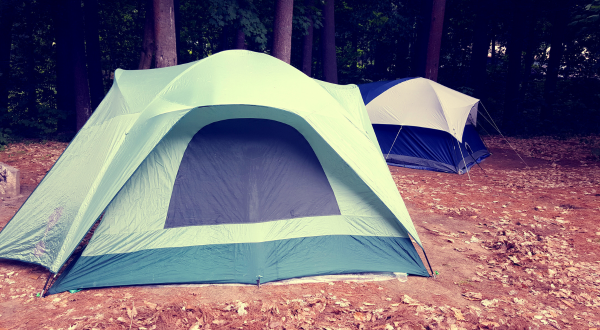 Two tents in a forested area